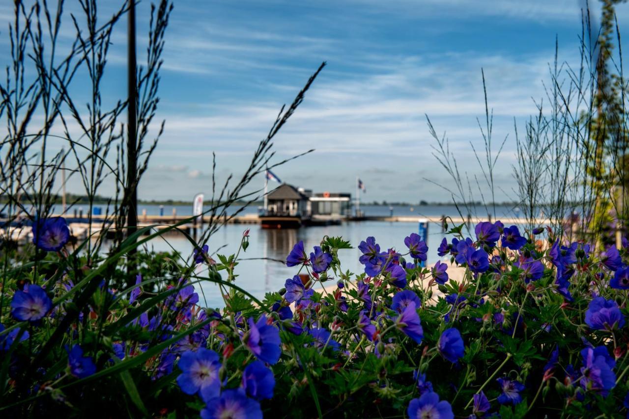 Welcome In - Houseboat 'Elysium' Met Eigen Aanlegsteiger Sneek - Offingawier ภายนอก รูปภาพ